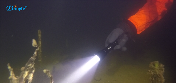Brinyte DIV11 portable diving flashlight 