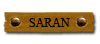 Saran