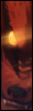 New posts