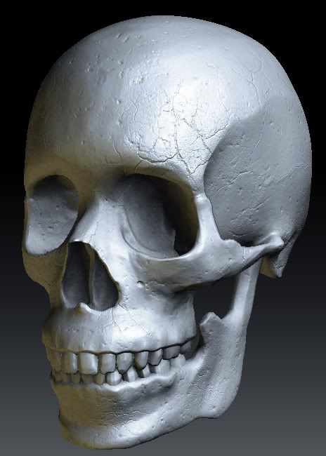 Skull01.jpg