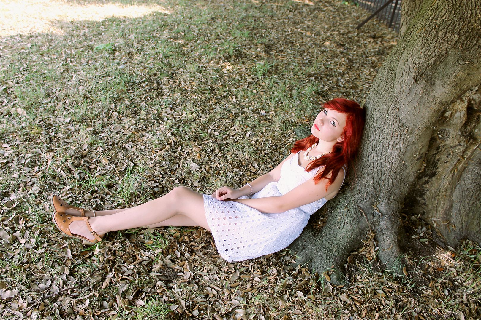 stars shine bright Dave Buxton Photography 