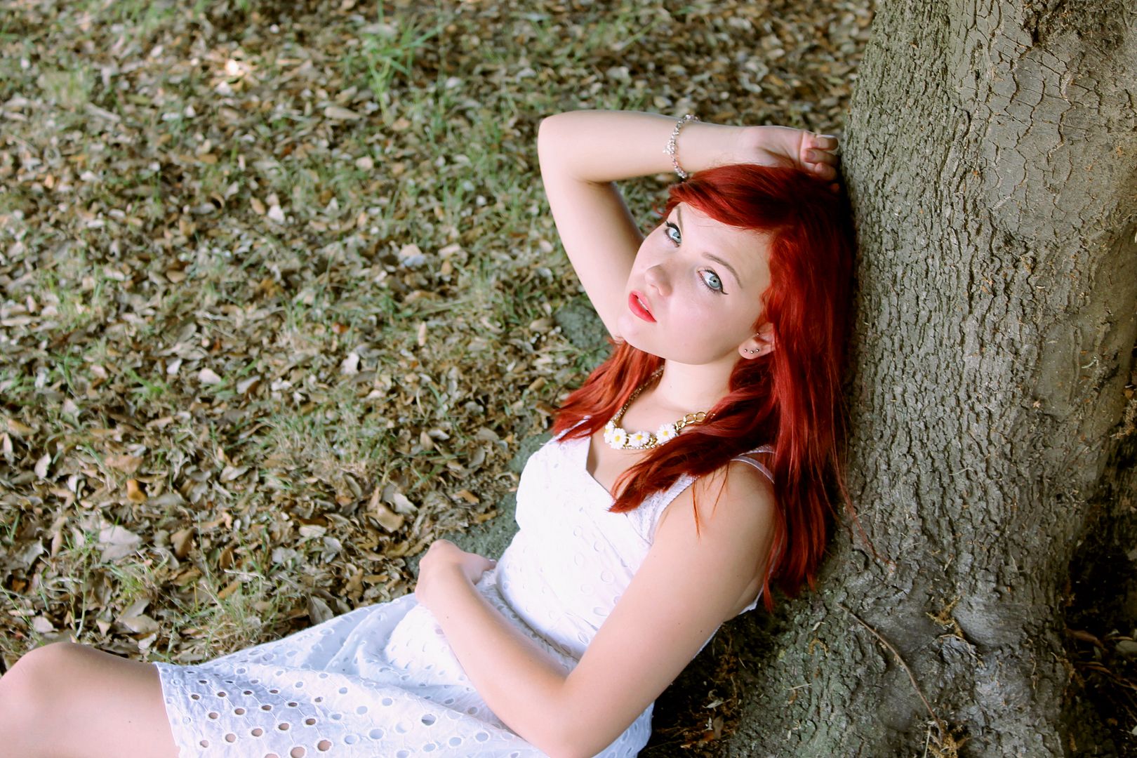 stars shine bright Dave Buxton Photography 