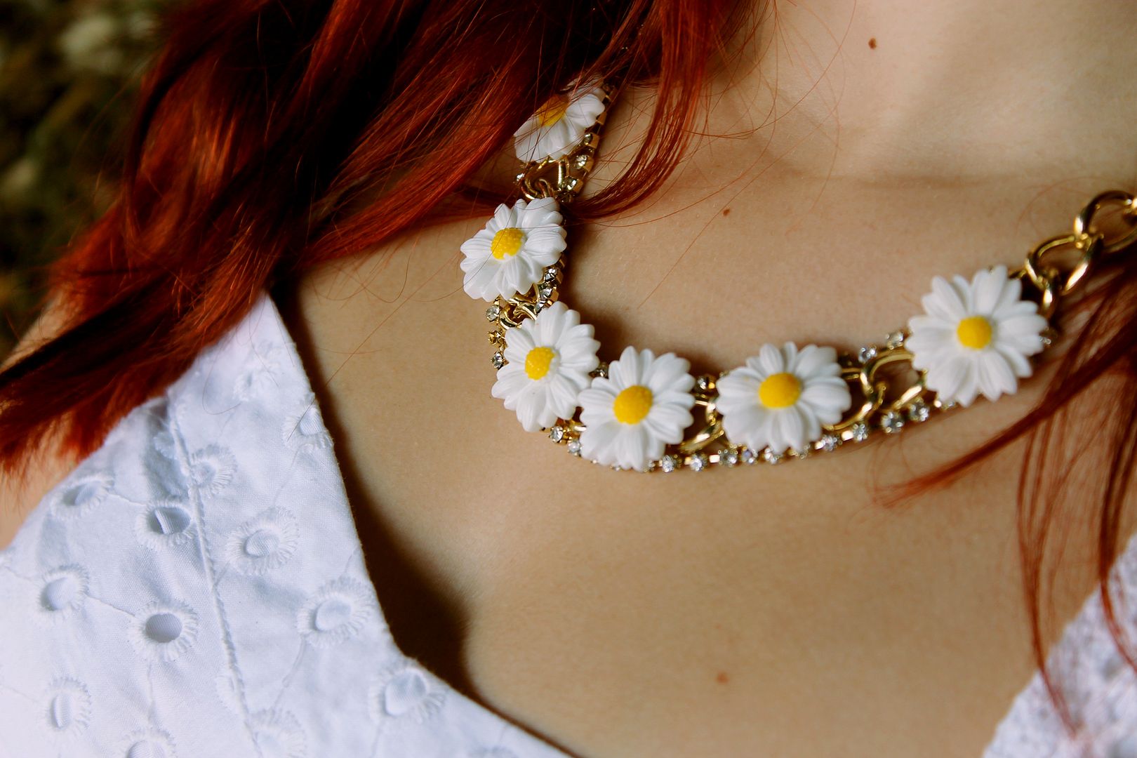 stars shine bright Dave Buxton Photography 