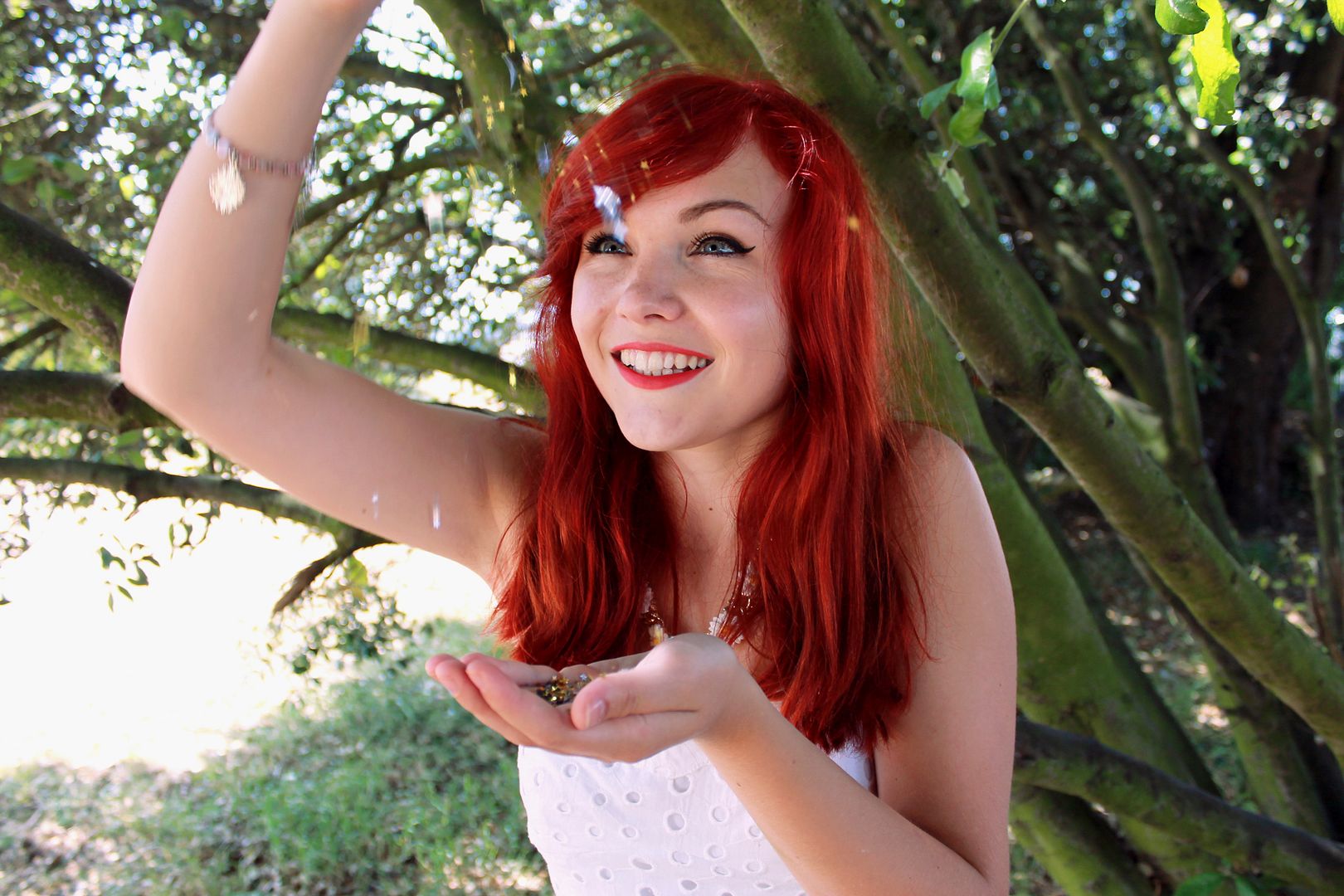 stars shine bright Dave Buxton Photography 