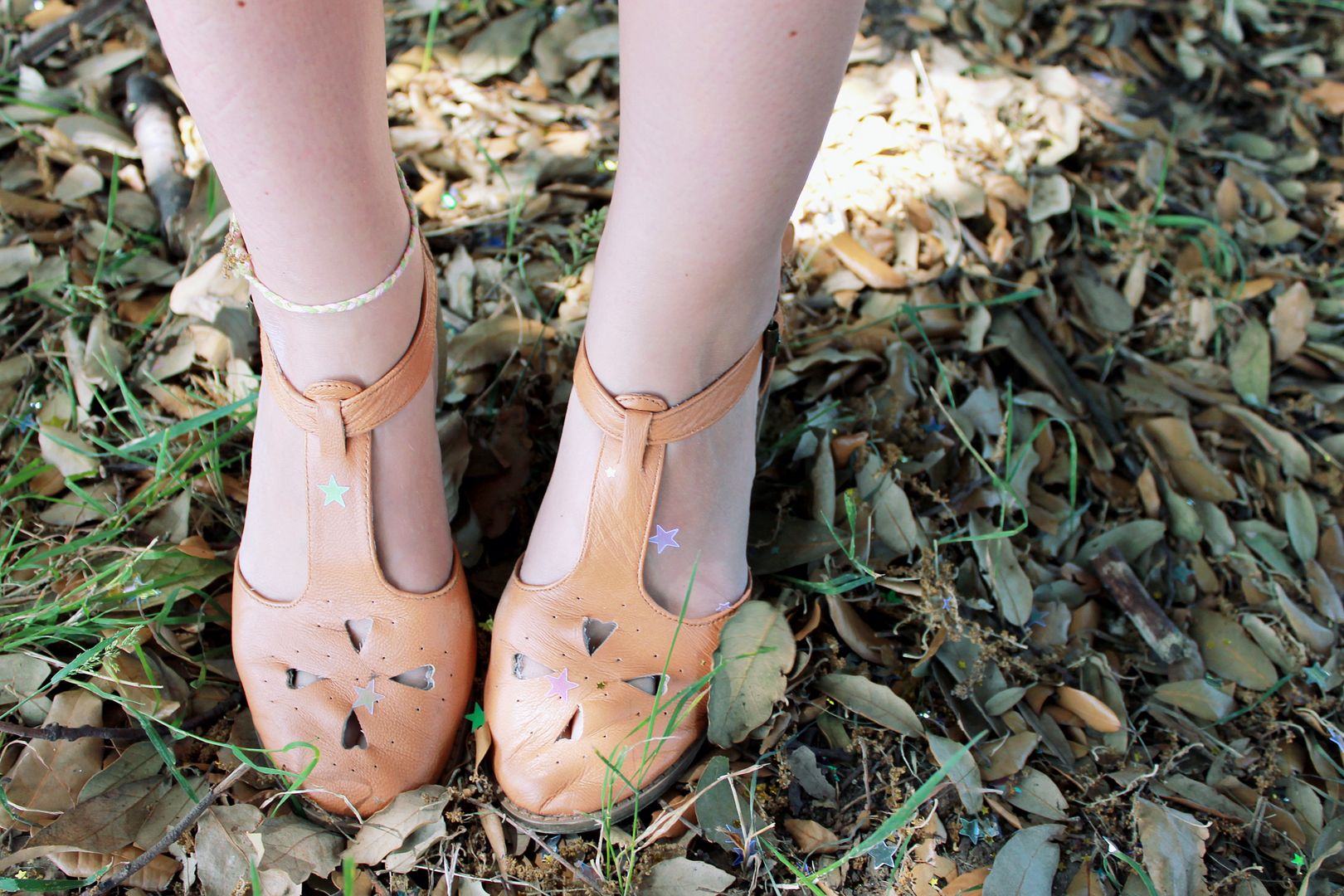 stars shine bright Dave Buxton Photography 