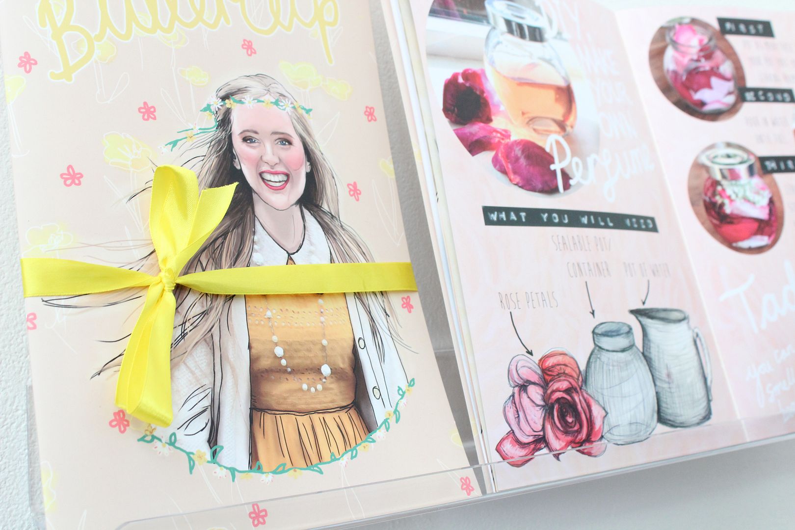 photo IMG_0886_zpsb7d37cb7.jpg