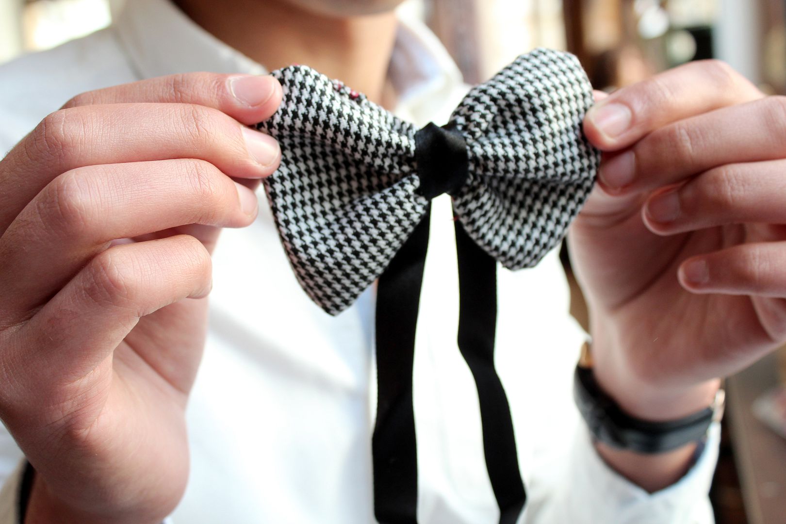  photo IMG_1006_zps4dbcd089.jpg