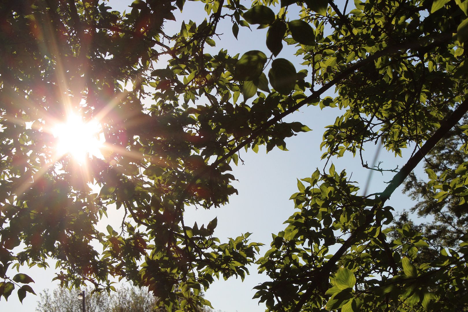 photo IMG_1246_zps8bb18bc3.jpg