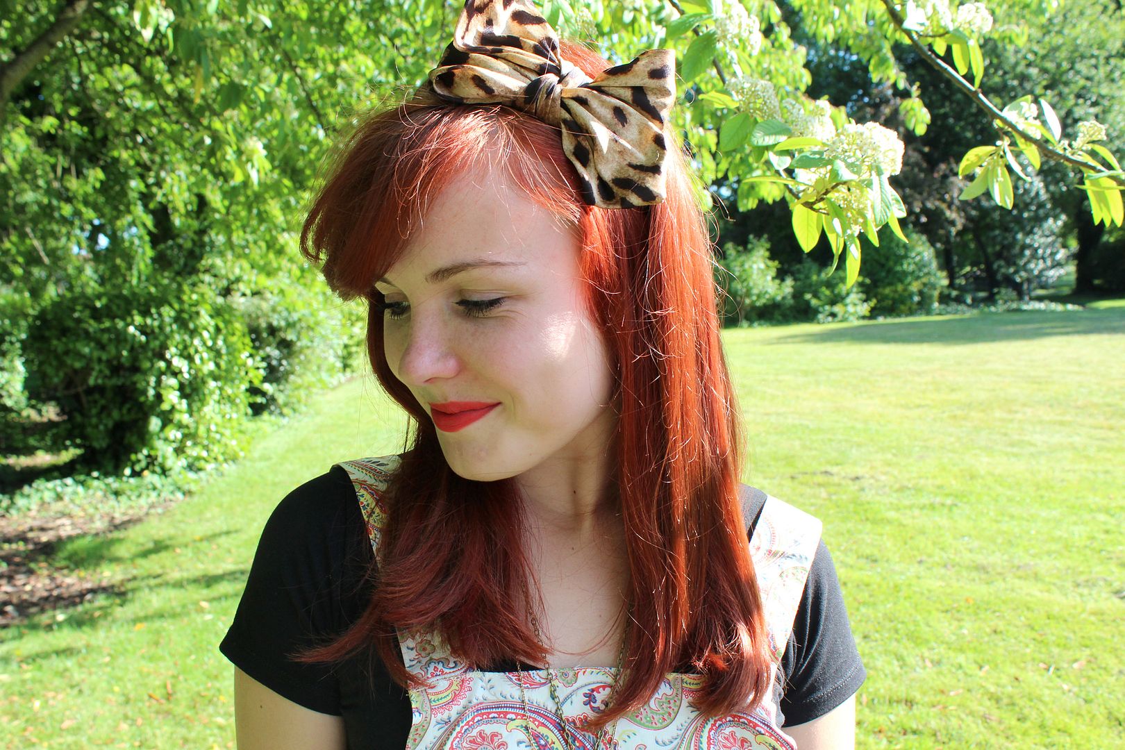  photo IMG_1803_zps997e2f48.jpg