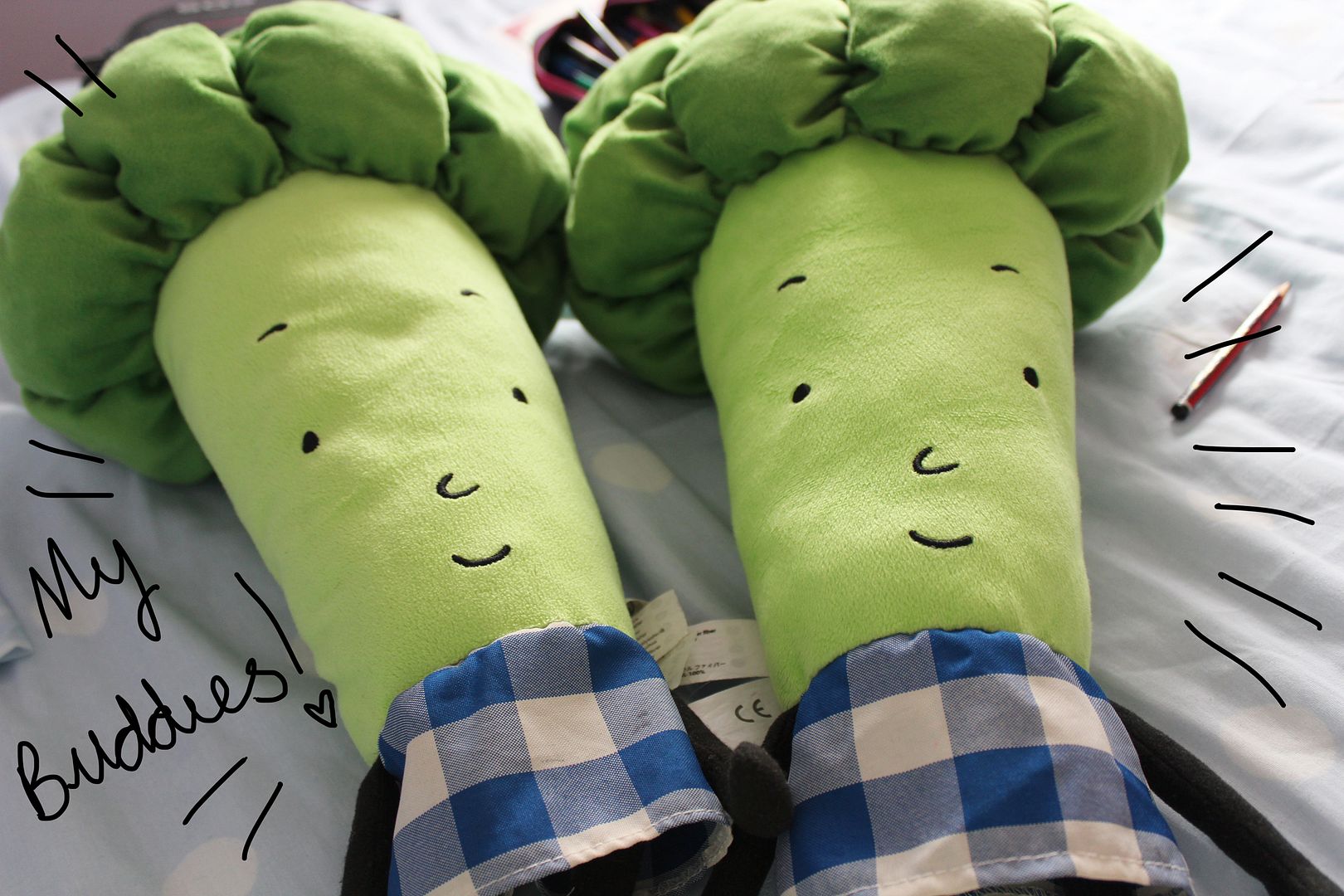  photo IMG_2032_zps75684b9a.jpg