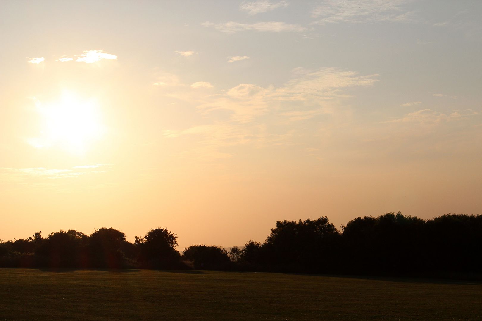  photo IMG_2265_zpse0f2847d.jpg