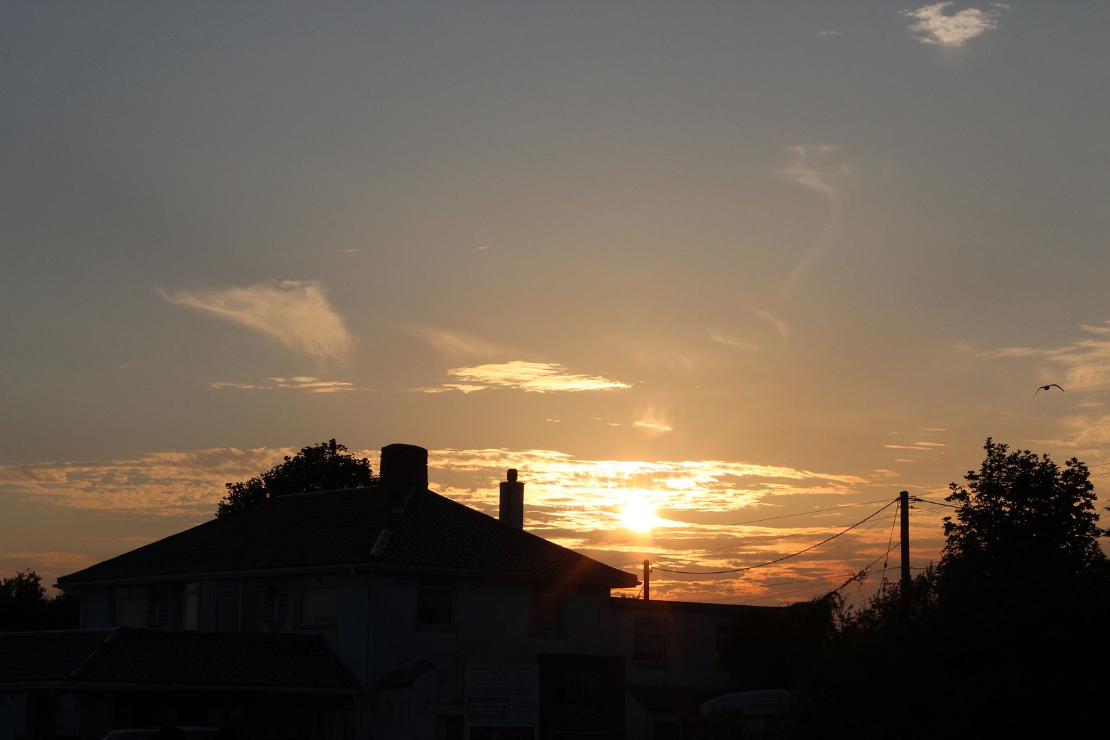  photo IMG_2298_zps882f277e.jpg