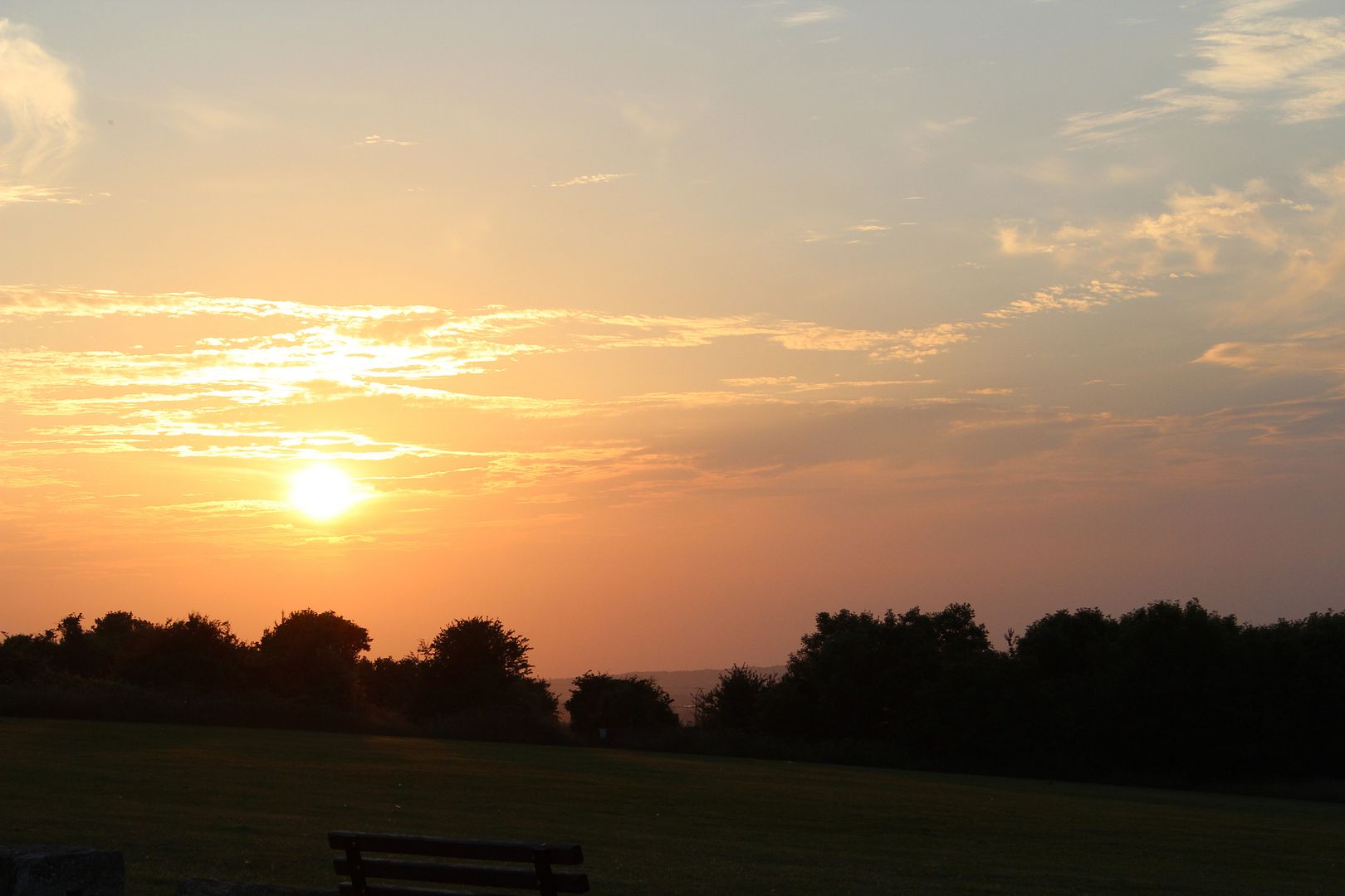  photo IMG_2317_zpsf42d9d54.jpg