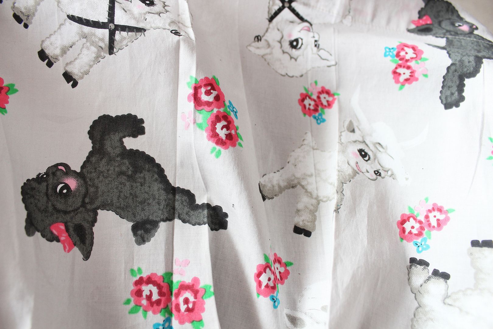  photo IMG_2563_zps6712732e.jpg