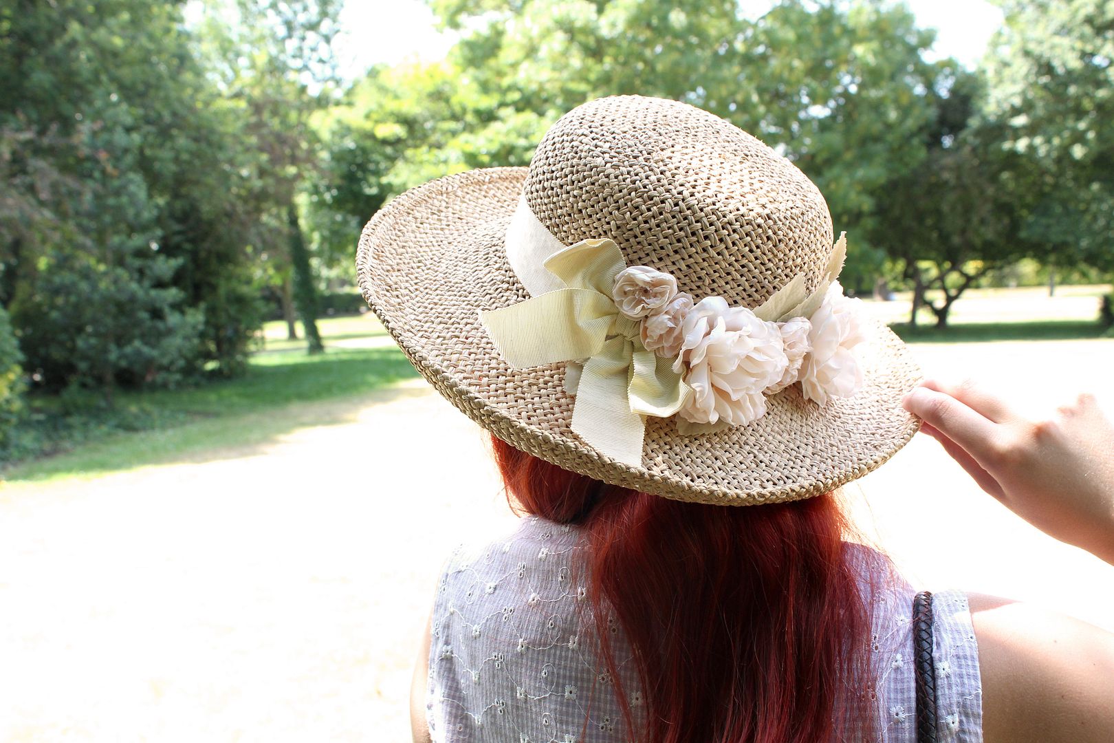 photo IMG_2651_zpsbab42c33.jpg