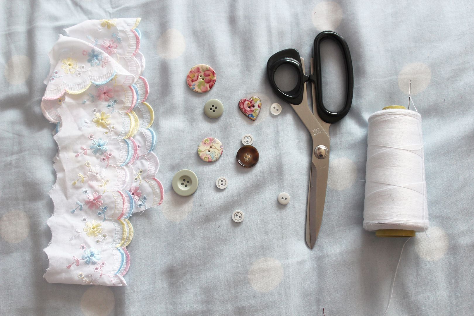  photo IMG_2659_zpsbe99c682.jpg