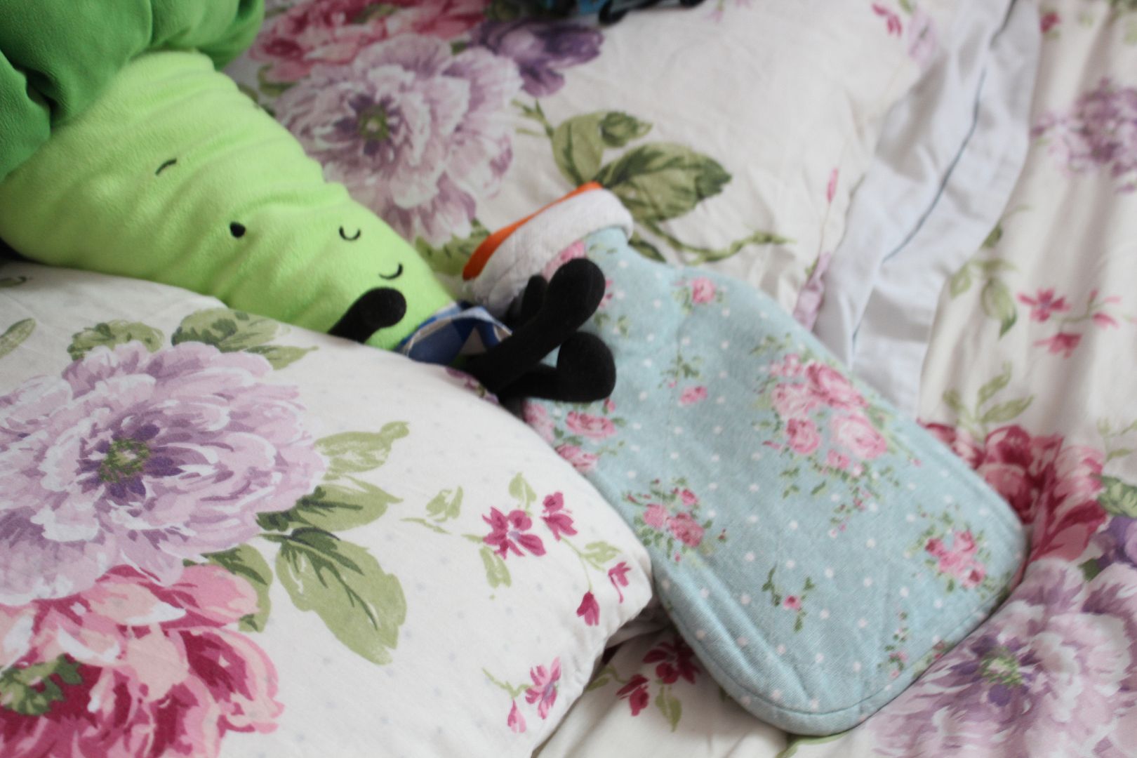  photo IMG_2853_zps7d732659.jpg