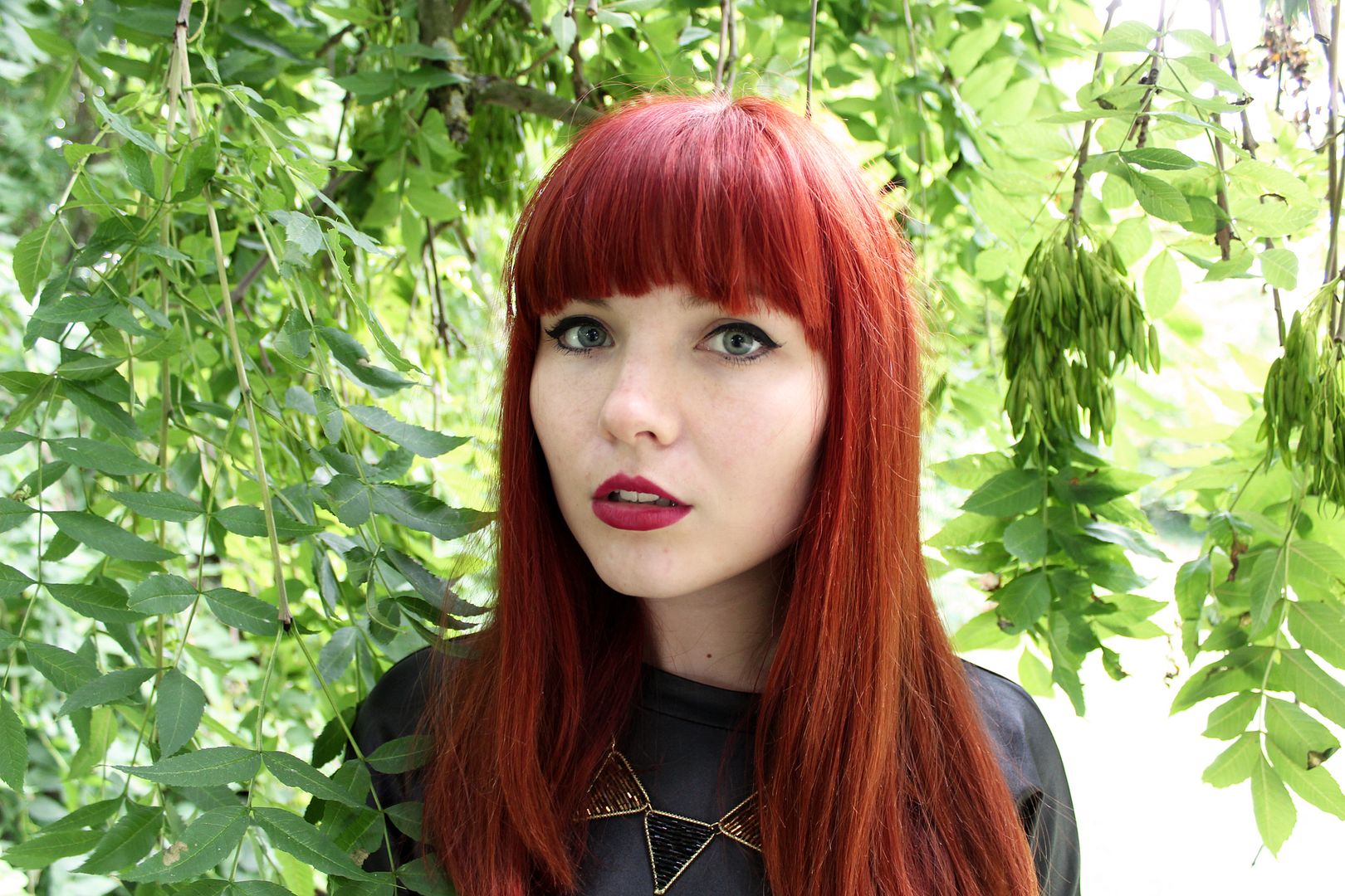 photo IMG_3563_zps5de8519c.jpg