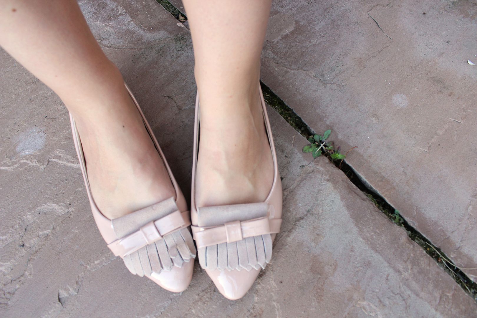  photo IMG_3878_zps4aadd091.jpg