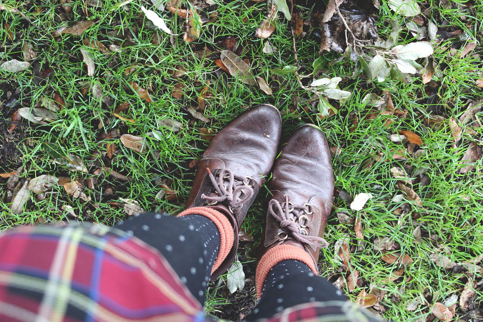  photo IMG_5637_zpscded5170.jpg