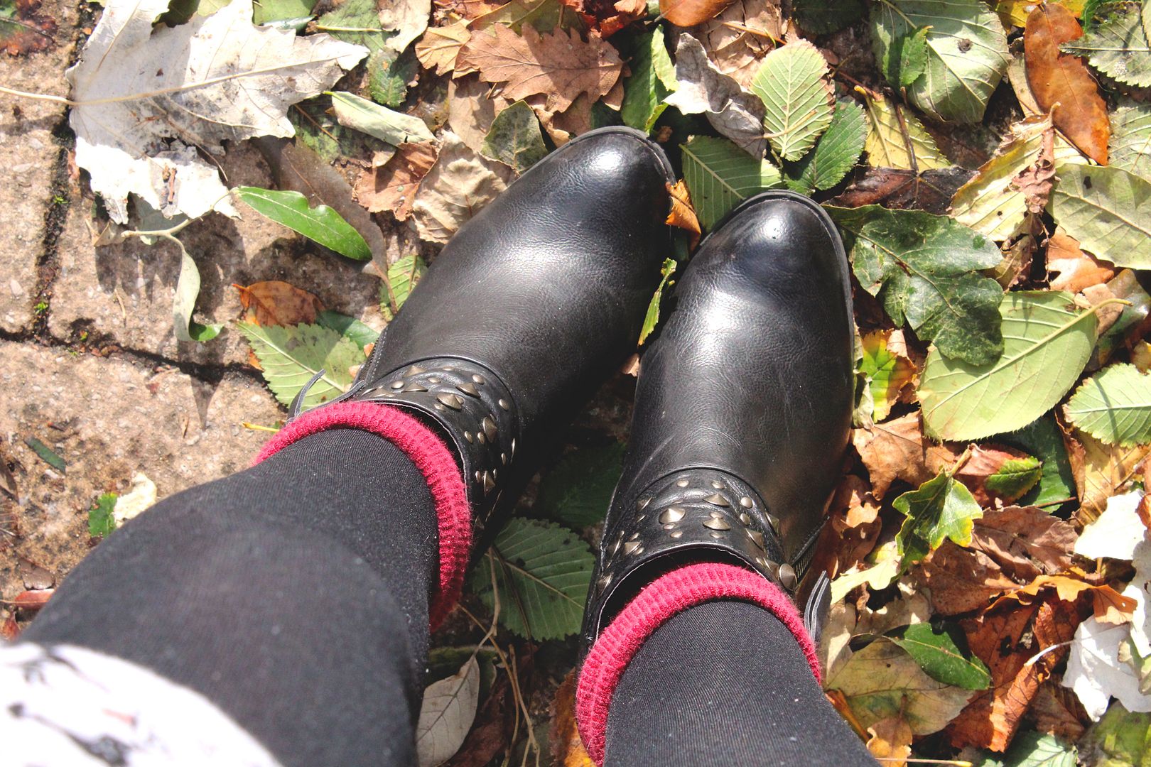  photo IMG_5698_zpsa6be50b8.jpg