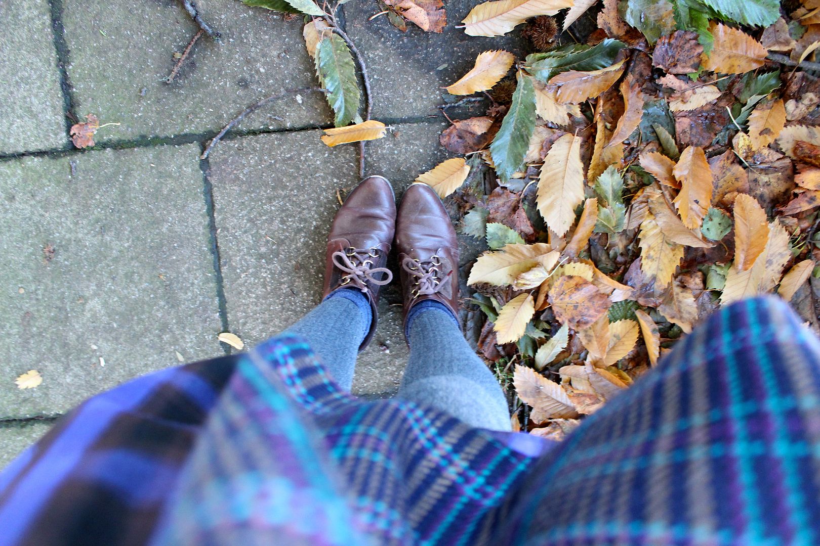  photo IMG_5897_zps6719db6c.jpg