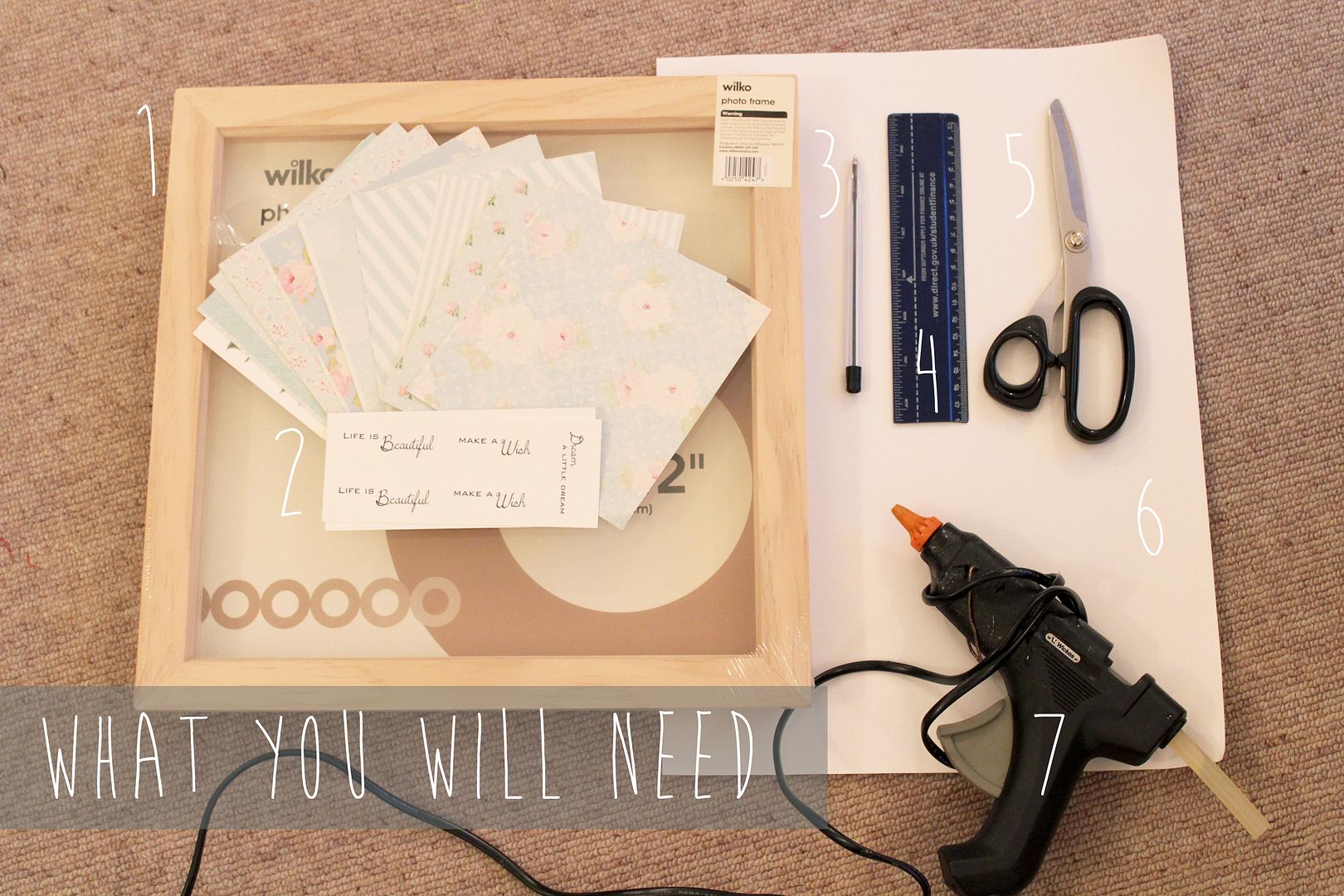  photo IMG_5918_zps945f3ead.jpg