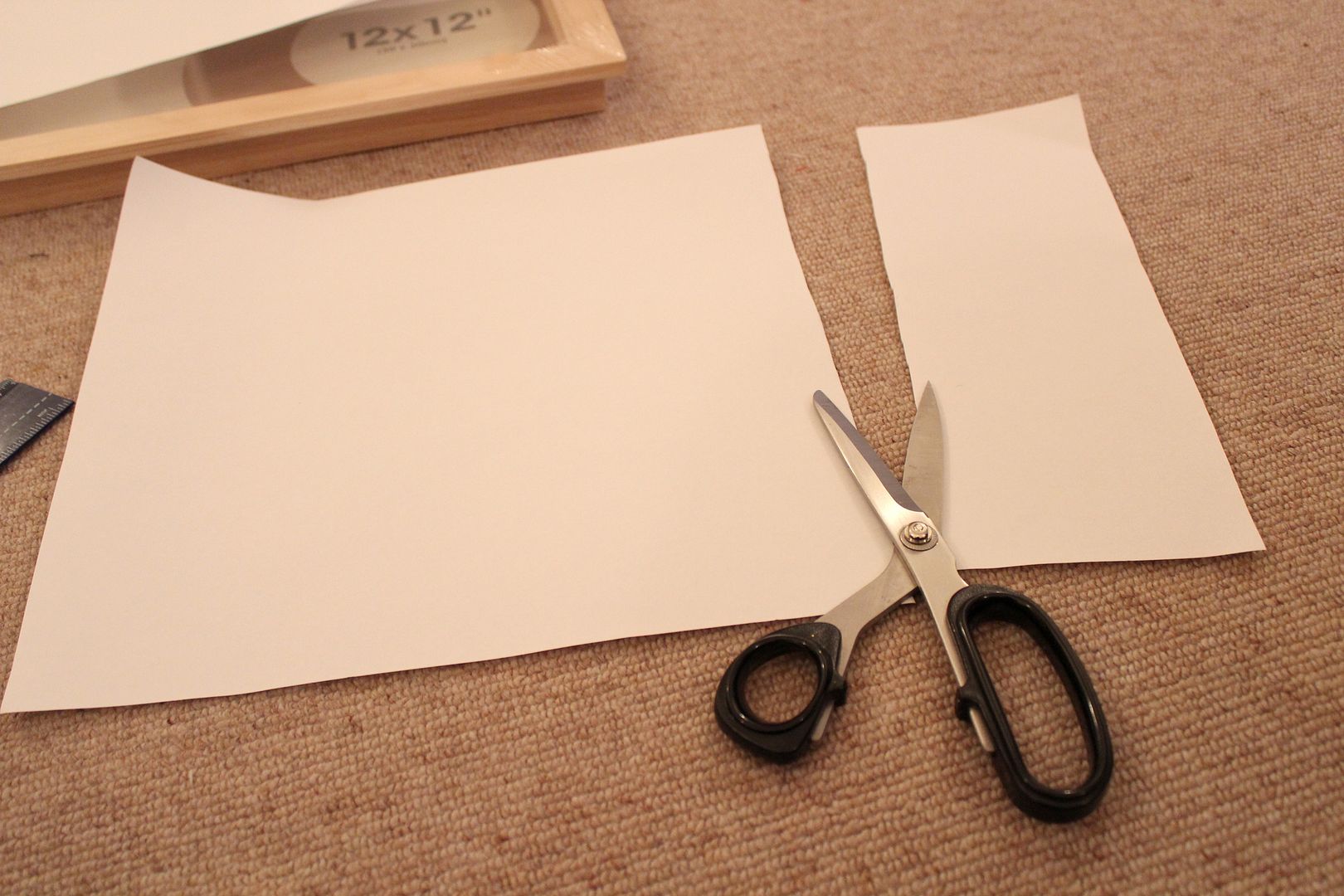  photo IMG_5921_zps3292c12c.jpg