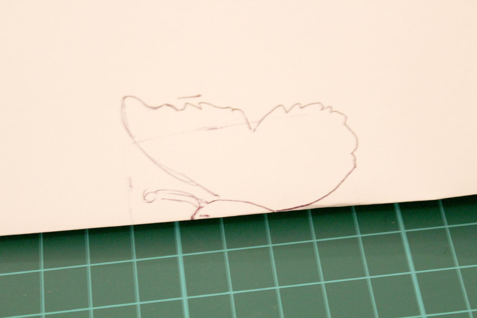  photo IMG_5922_zpsa9971fad.jpg