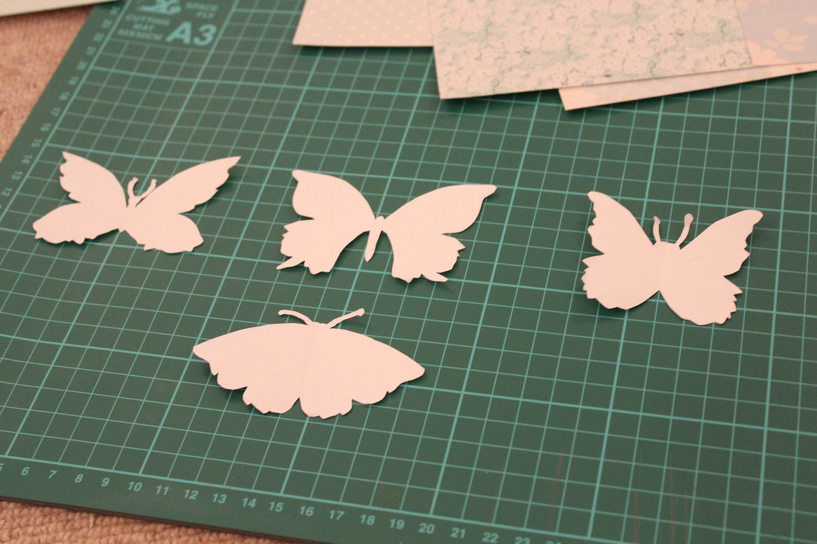  photo IMG_5925_zpsfa0fdb71.jpg