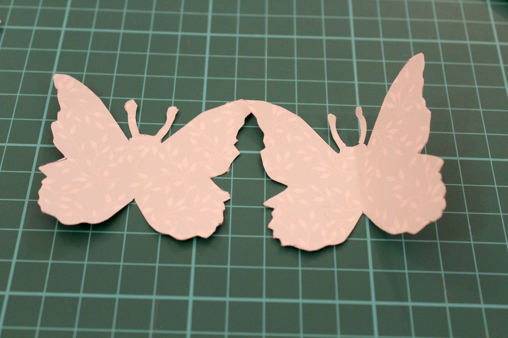  photo IMG_5926_zps640bf13a.jpg