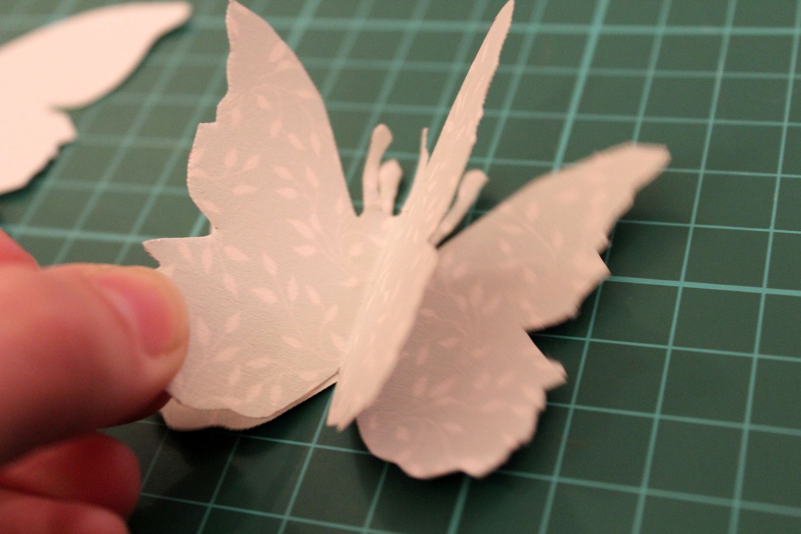  photo IMG_5928_zpsd188b386.jpg