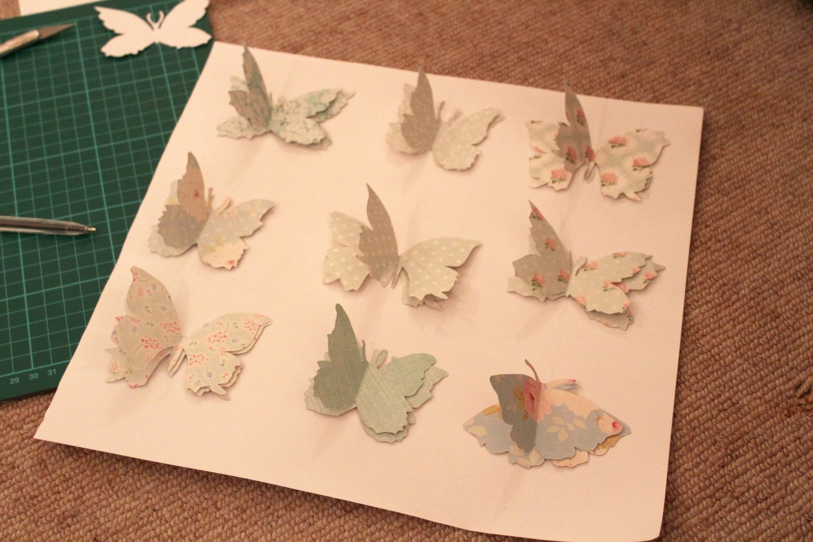  photo IMG_5930_zps5f613c16.jpg