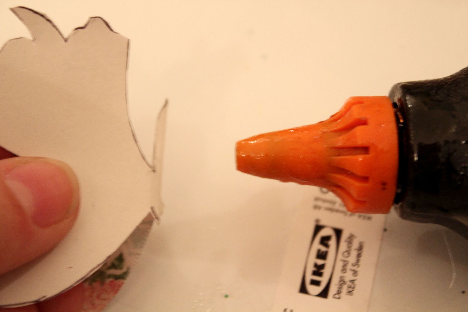  photo IMG_5936_zps14ad434f.jpg