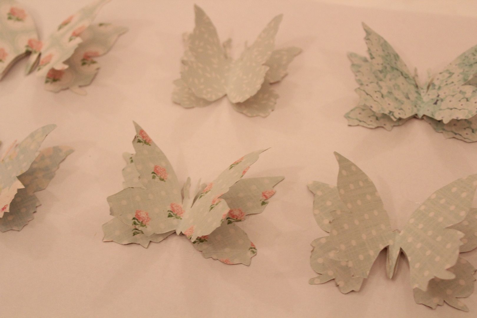  photo IMG_5937_zps28227960.jpg