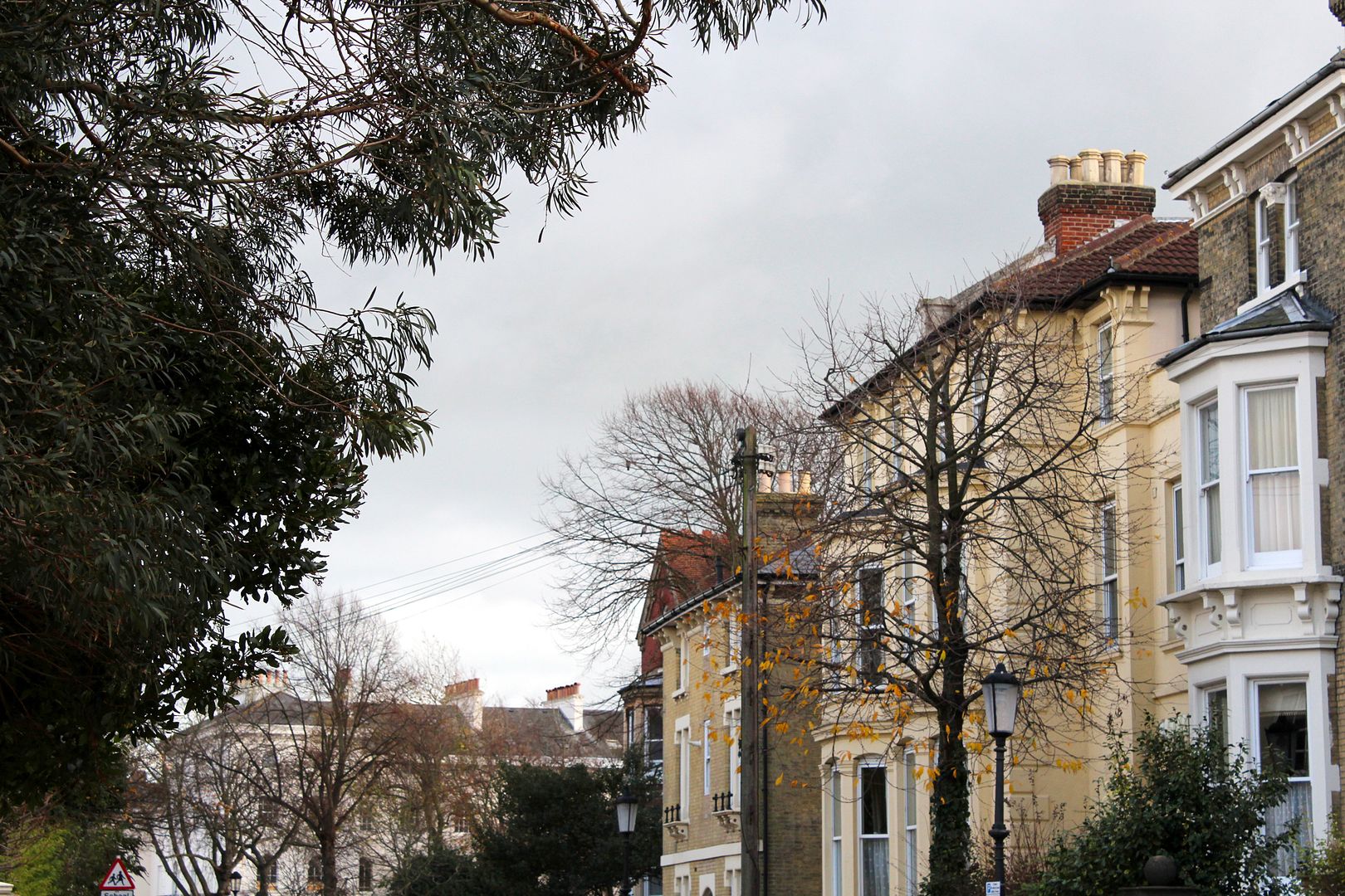  photo IMG_6947_zpsf64caa42.jpg