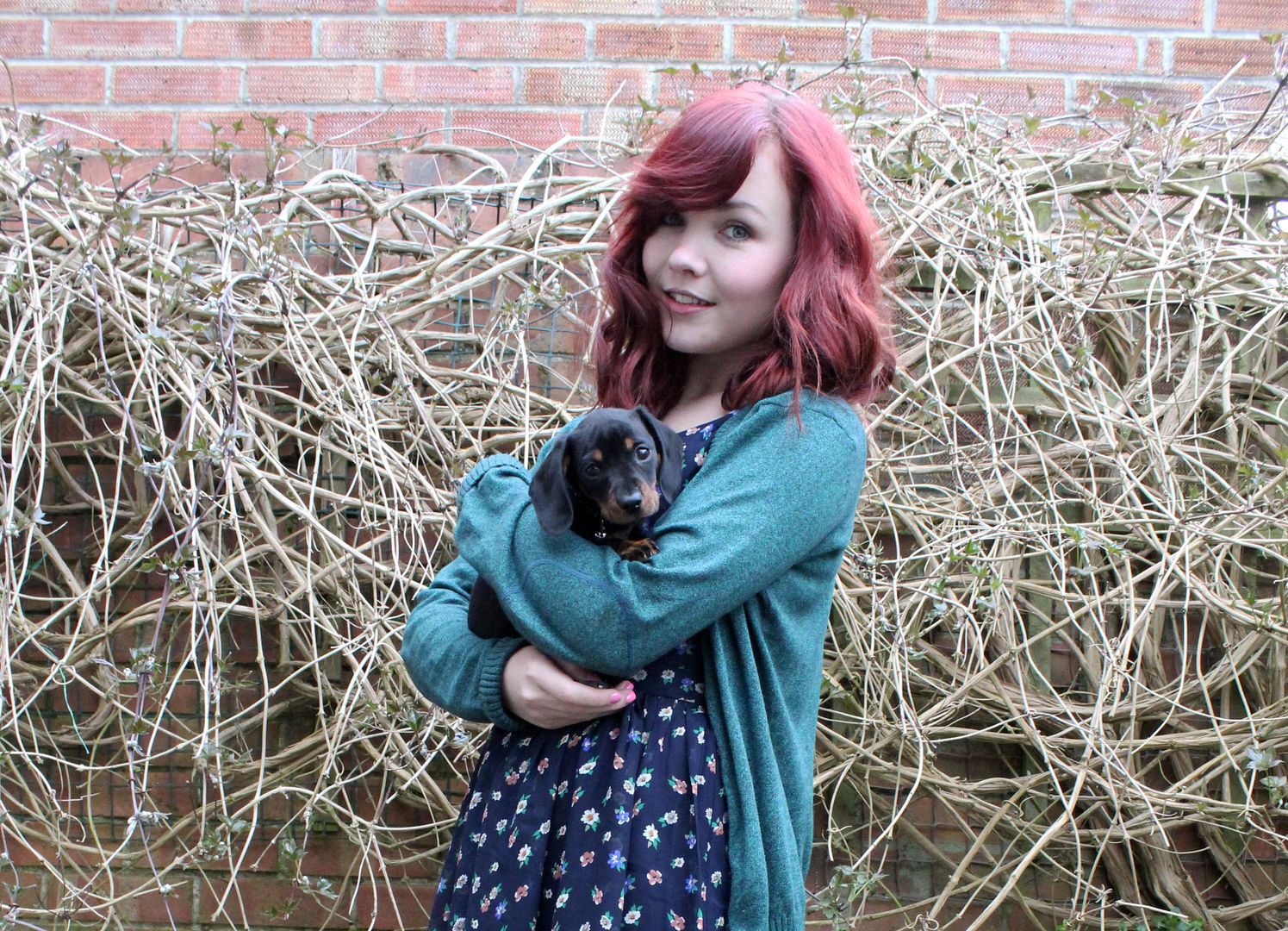  photo IMG_7106_zps14b3190b.jpg