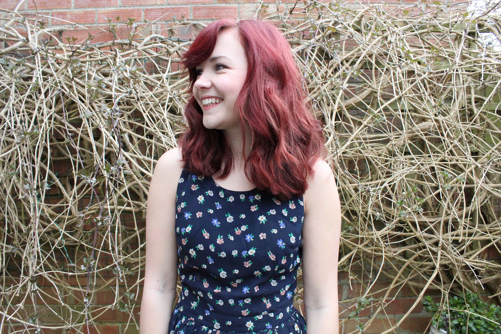  photo IMG_7132_zps74ba9810.jpg