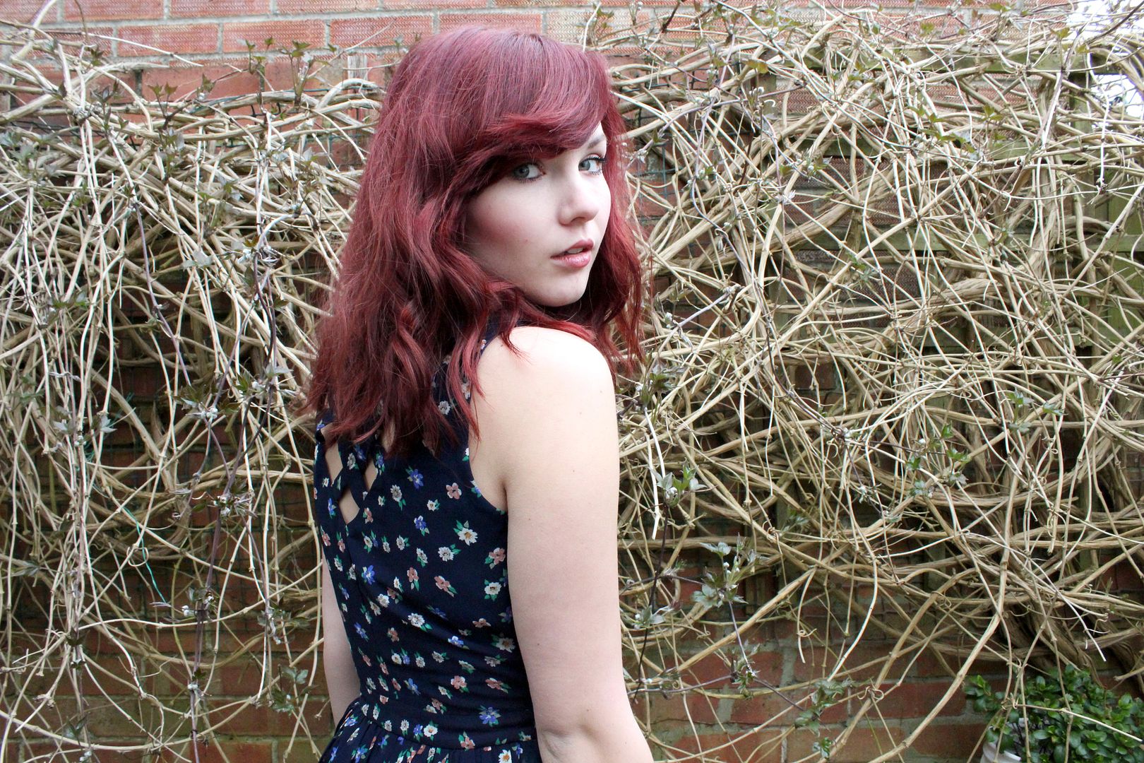  photo IMG_7138_zps5312f6f1.jpg