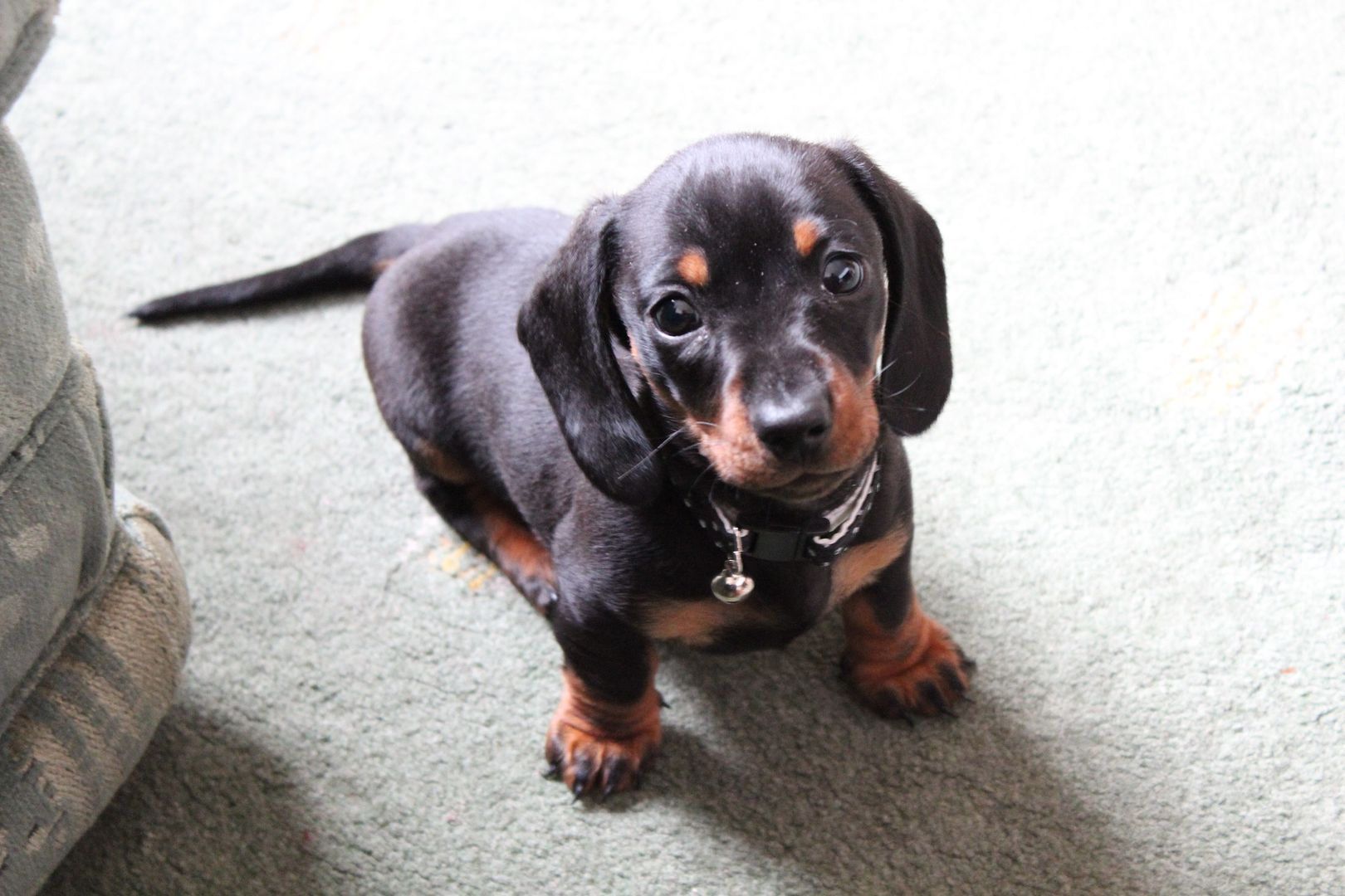  photo IMG_7163_zpsa37bf3b0.jpg