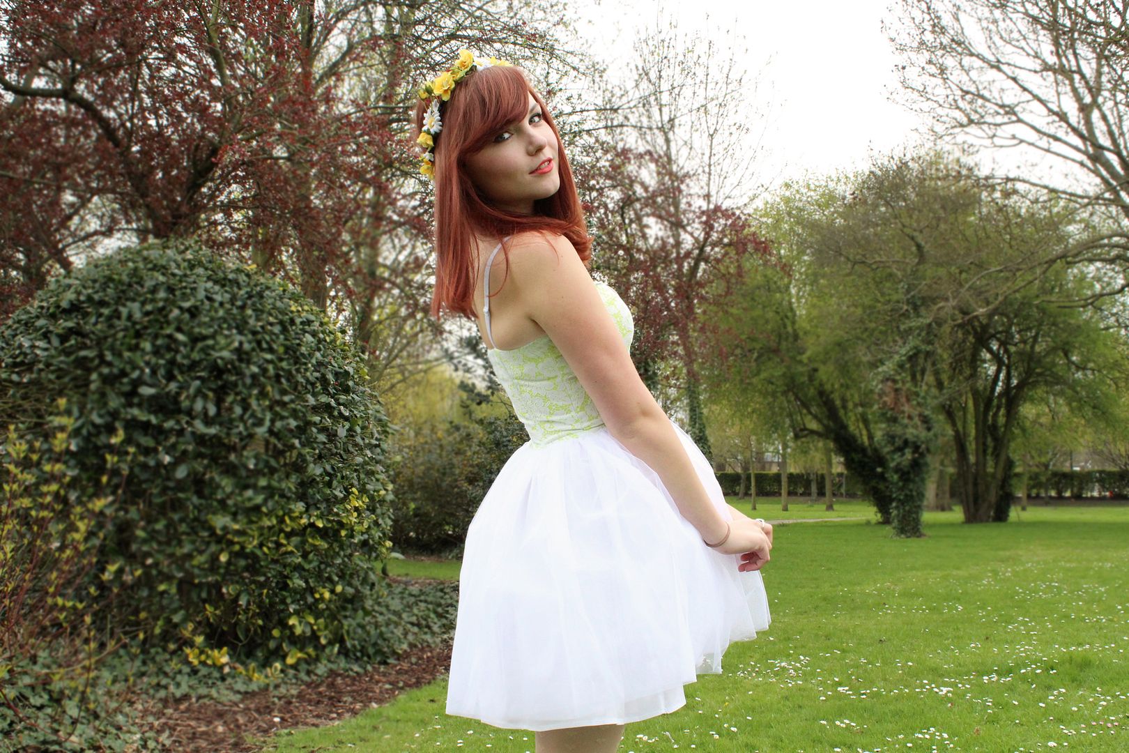  photo IMG_9117-1_zpse581a7cc.jpg