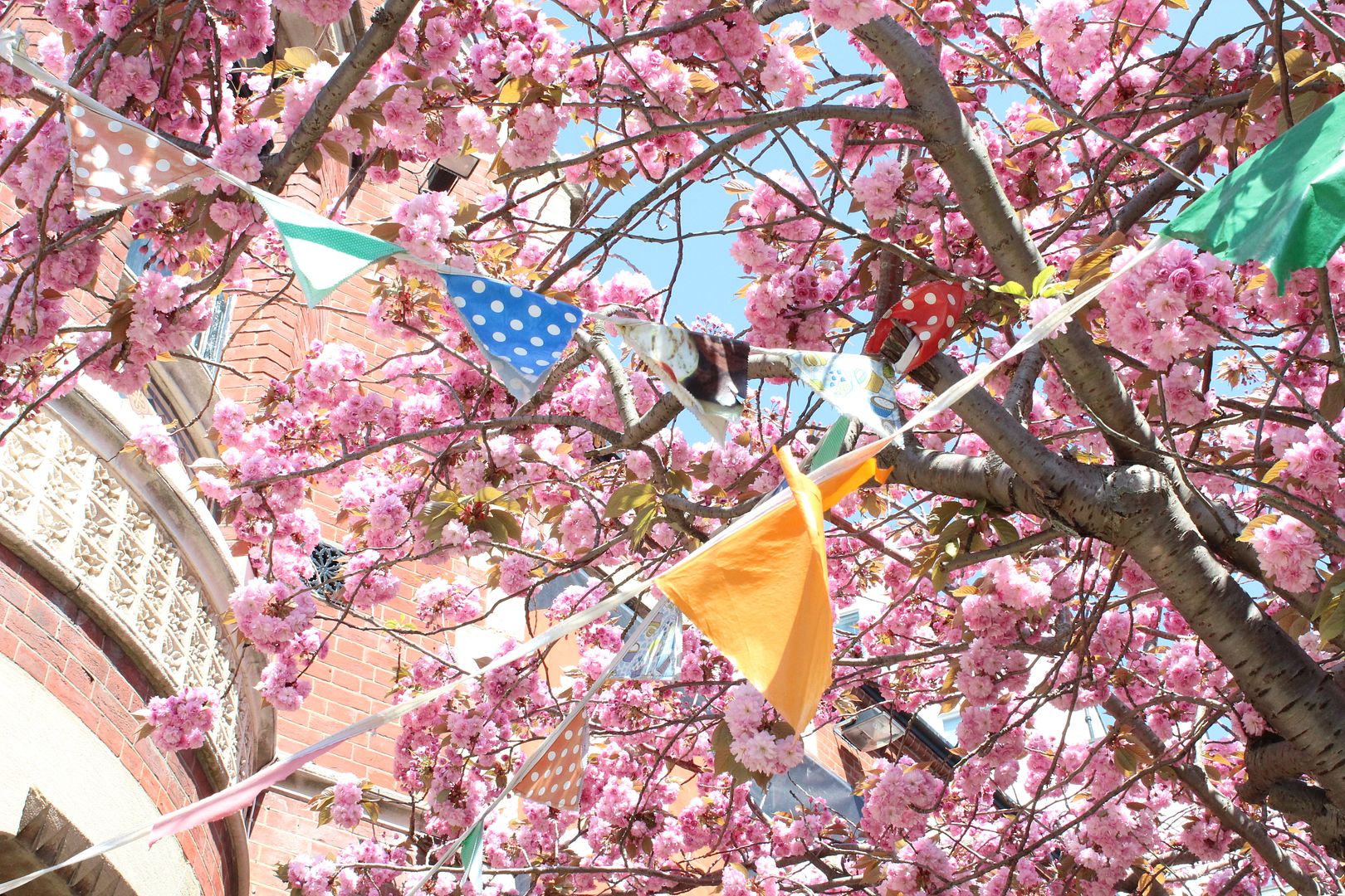 photo IMG_9438_zps848becab.jpg