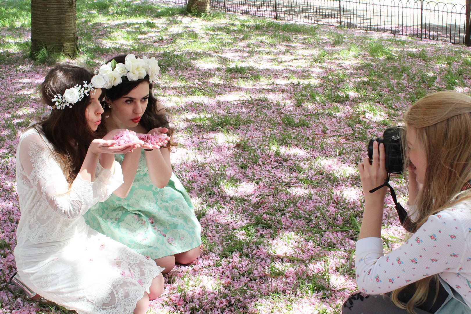  photo IMG_9796_zpsabbba2f3.jpg