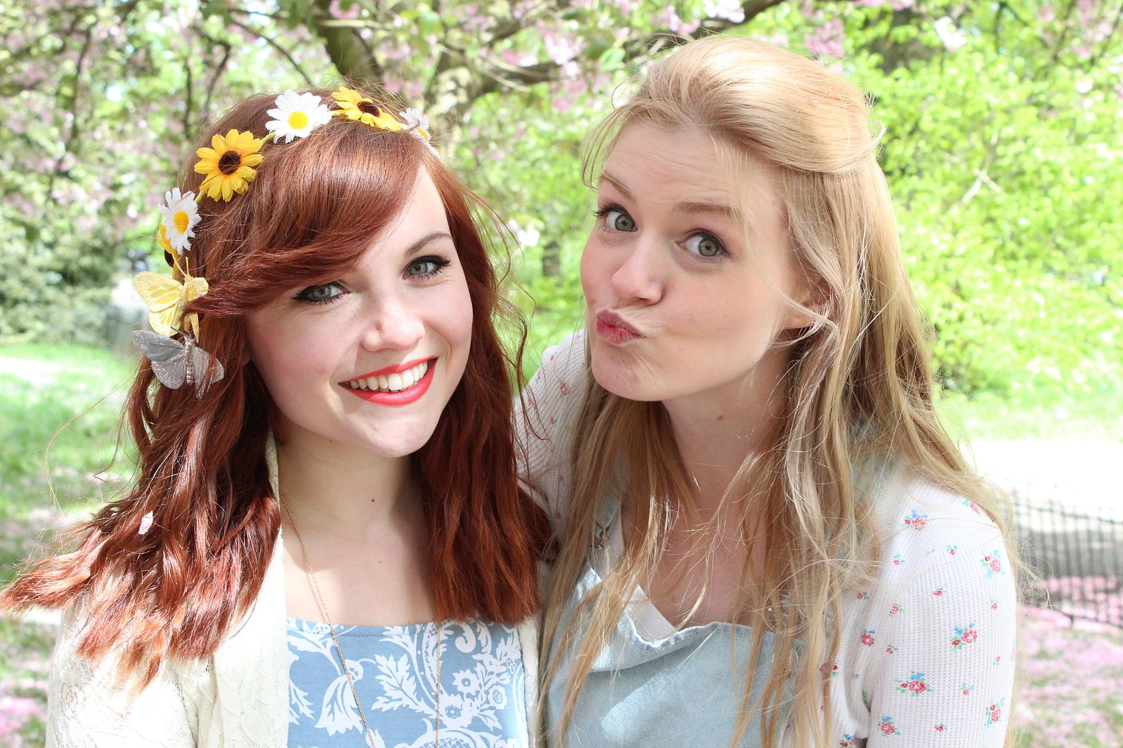  photo IMG_9819_zps6f153fe0.jpg