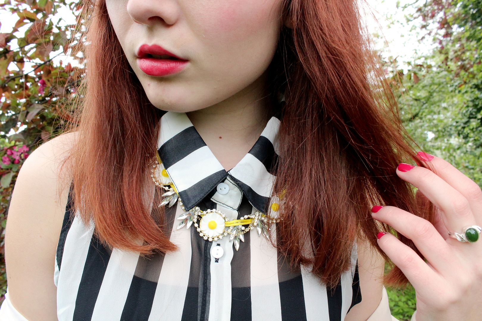 photo IMG_9910_zpse93d5608.jpg