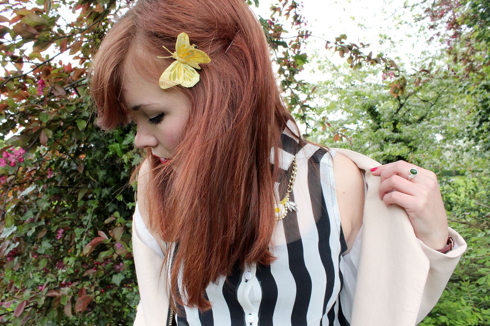 photo IMG_9911_zpsc313d481.jpg