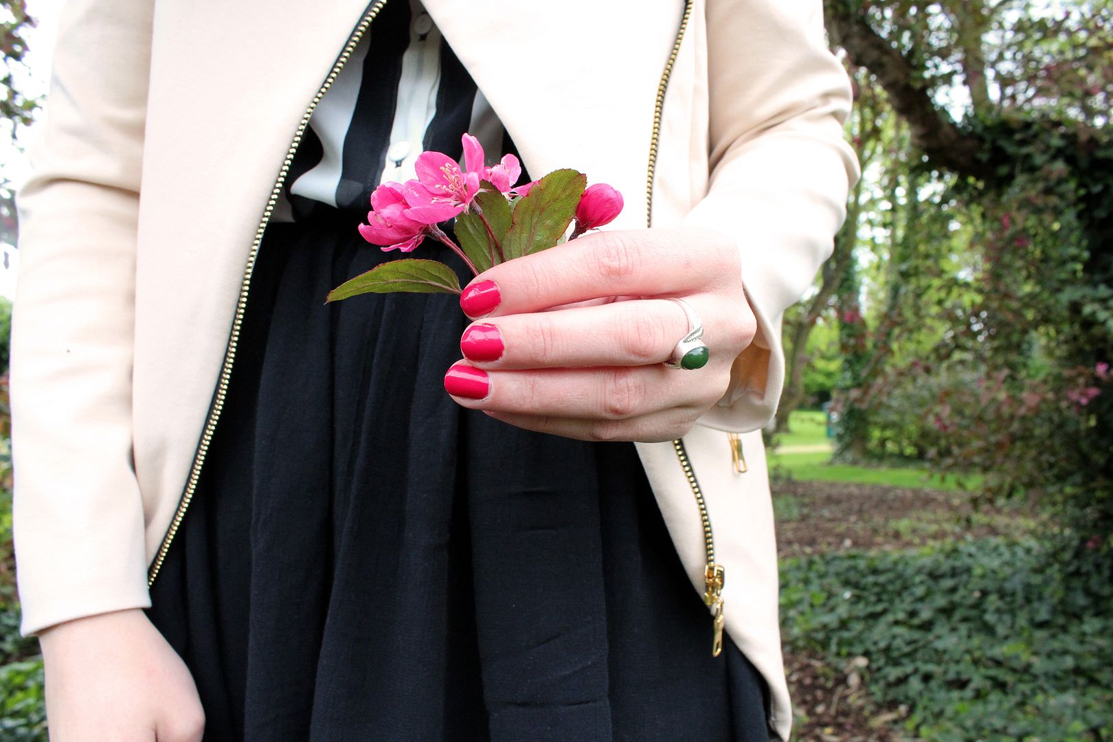 photo IMG_9930_zps17743226.jpg