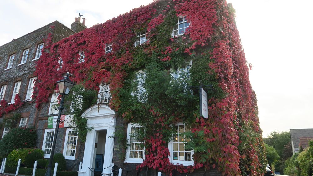  photo Paige Joanna BB Wickham_zpsknkp4bly.jpg