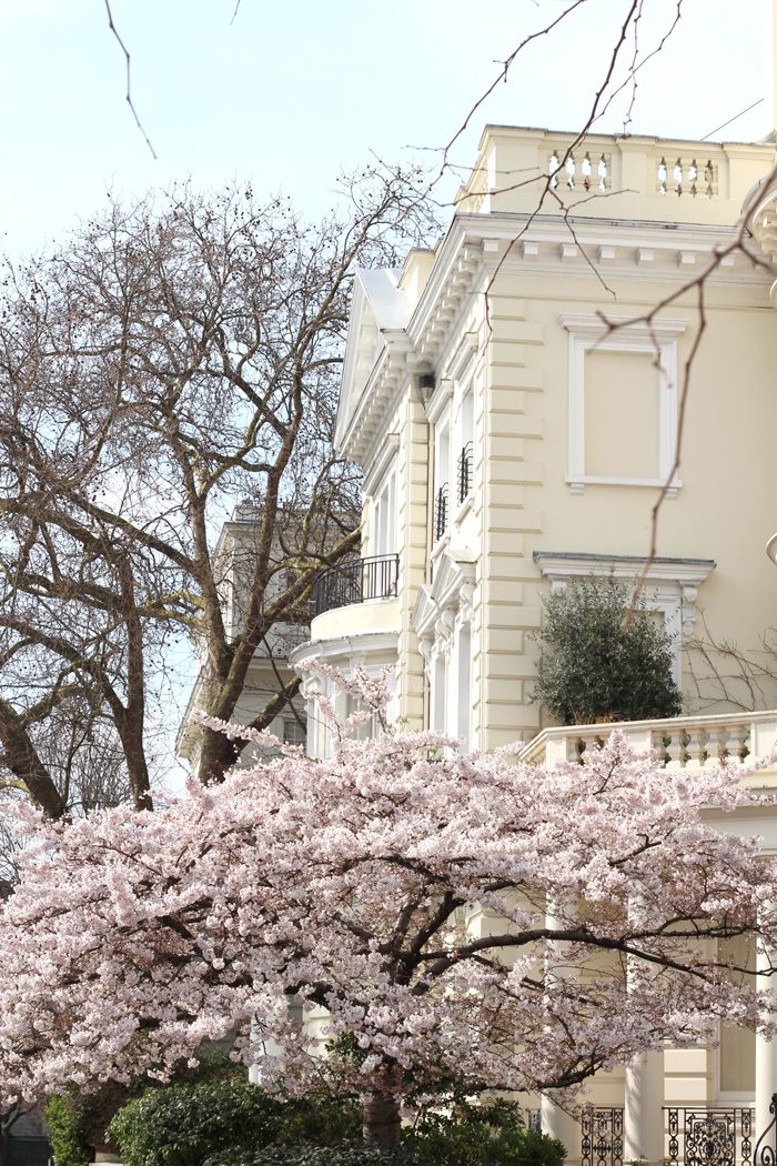  photo Paige Joanna Blossom_zpstxkbzvkm.jpg