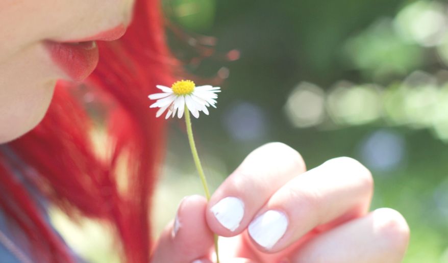  photo Paige Joanna Daisy Close up_zps7gvmncj1.jpg